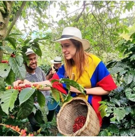 Chalet Colombia Mountain Tours Glamping *