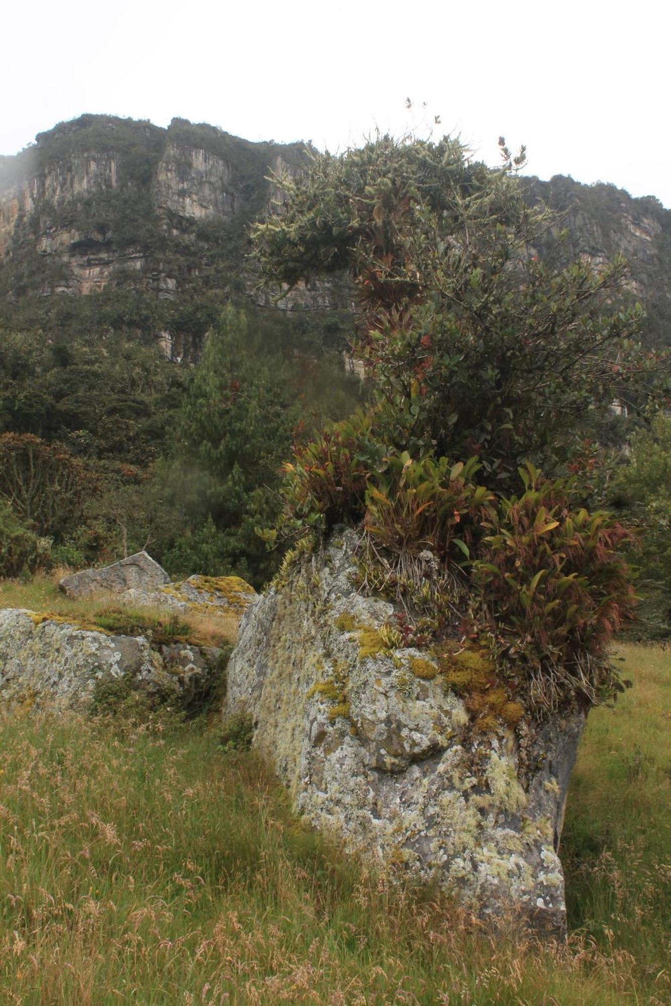 Colombia Mountain Tours Glamping Chalet *
